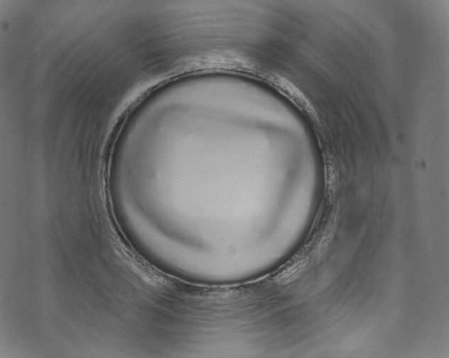 X0000072991035200608211511