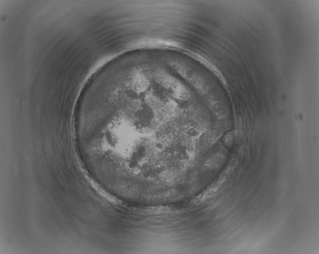 X0000072991037200608211511