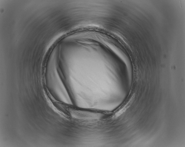 X0000072991038200608211511