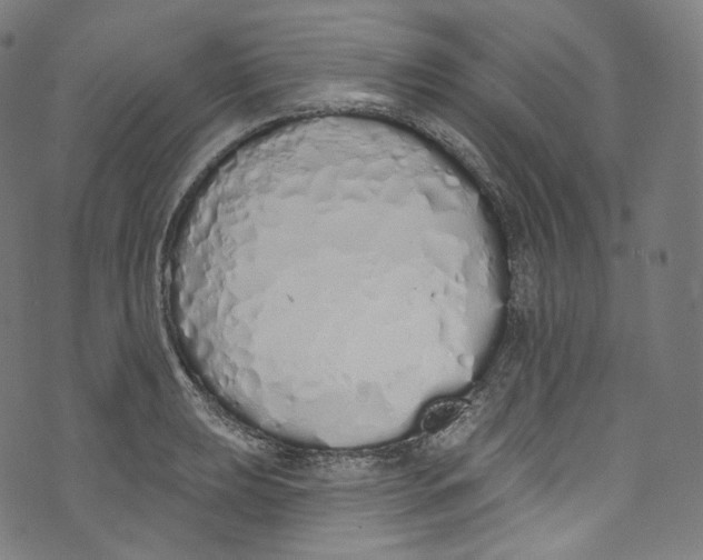 X0000072991039200608211511