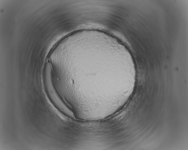 X0000072991040200608211511