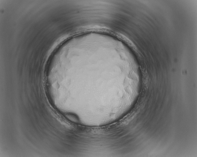 X0000072991043200608211511