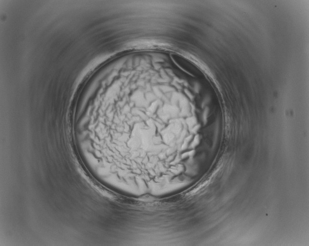 X0000072991045200608211511