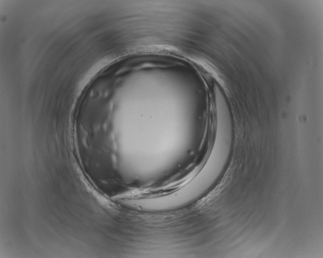 X0000072991046200608211511