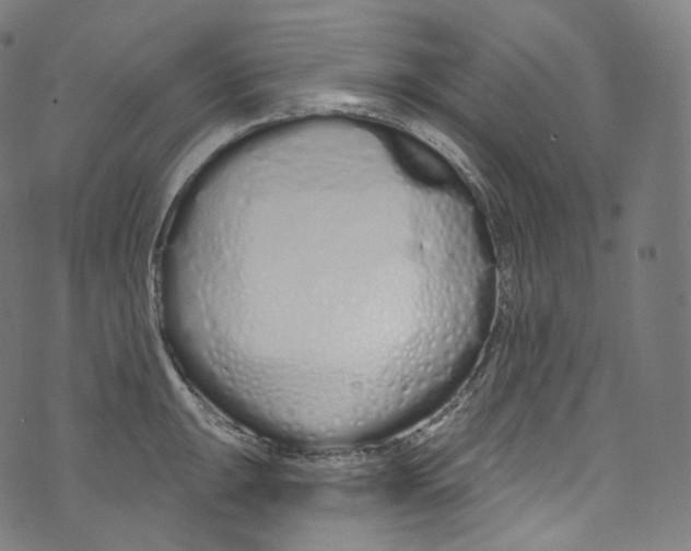 X0000072991047200608211511