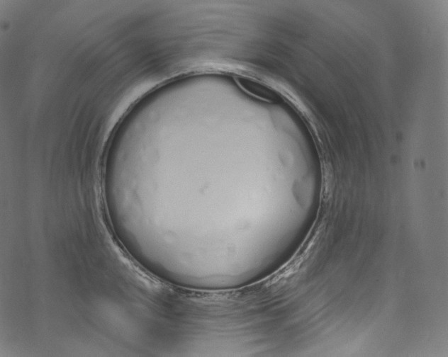 X0000072991048200608211511