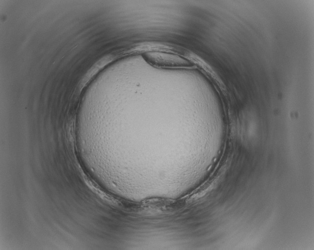 X0000072991049200608211511