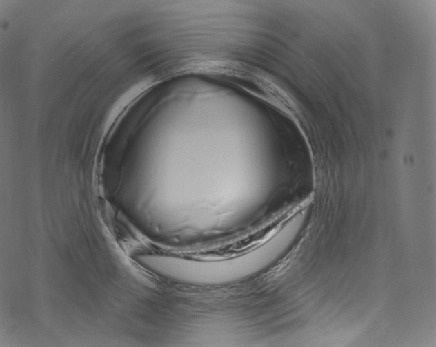 X0000072991050200608211511