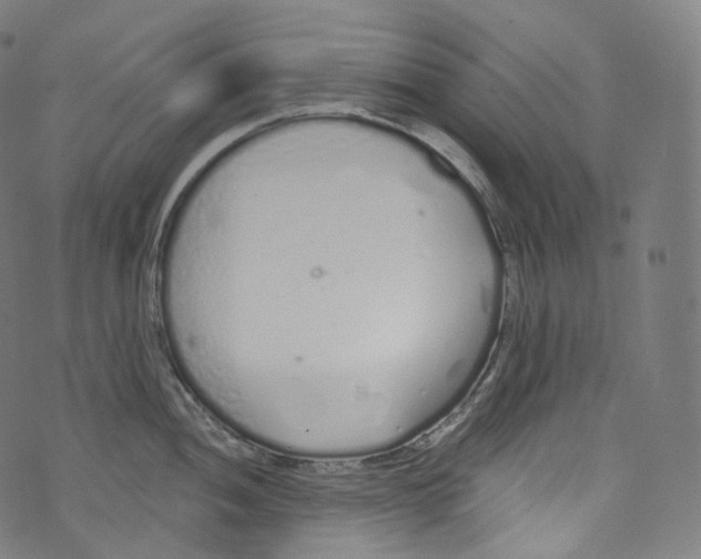 X0000072991052200608211511