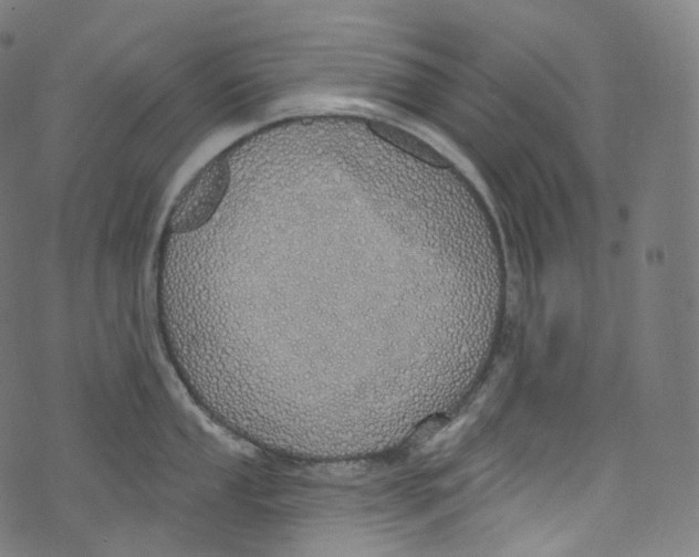 X0000072991053200608211511