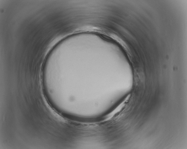 X0000072991055200608211511