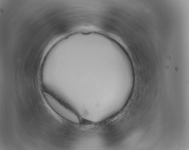 X0000072991056200608211511