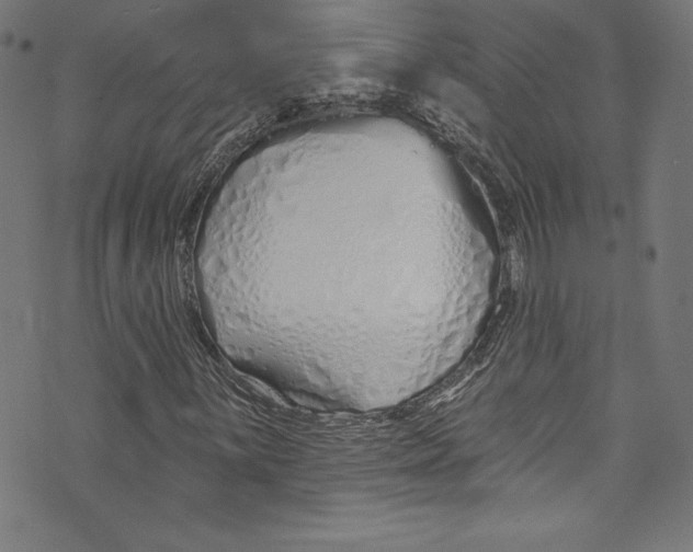 X0000072991059200608211510