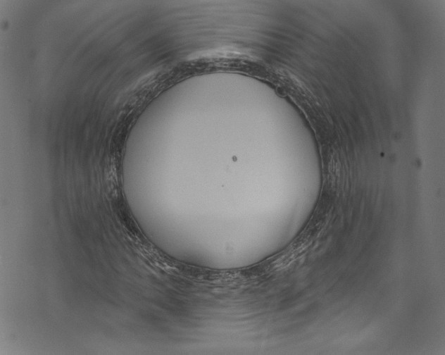 X0000072991062200608211510