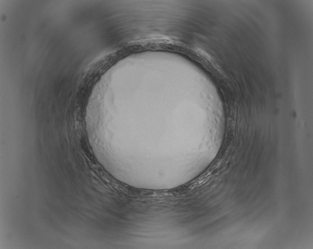 X0000072991063200608211510