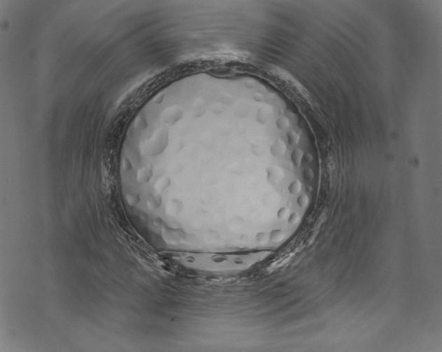 X0000072991064200608211510