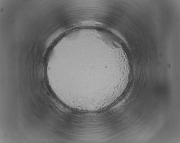 X0000072991067200608211510