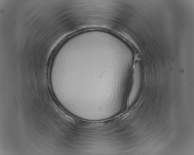 X0000072991068200608211510