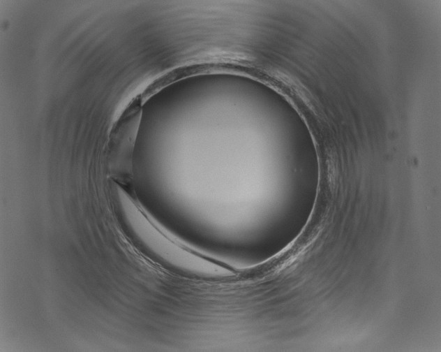 X0000072991069200608211510