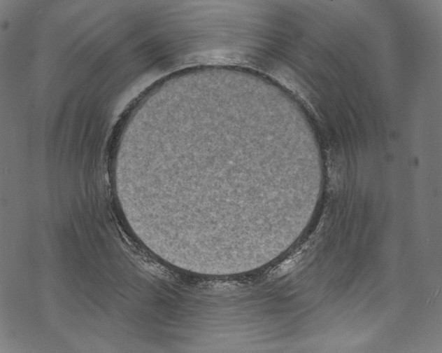 X0000072991070200608211510