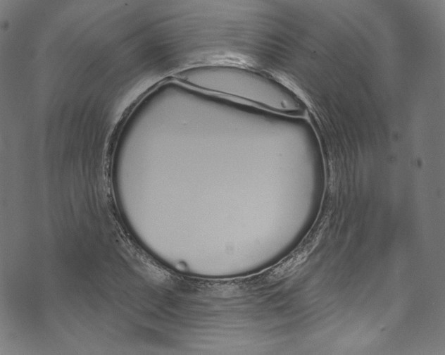 X0000072991071200608211510