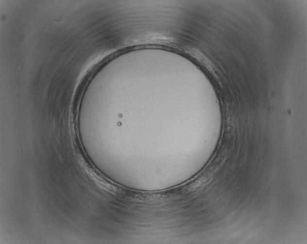 X0000072991072200608211510