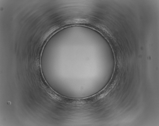 X0000072991073200608211510