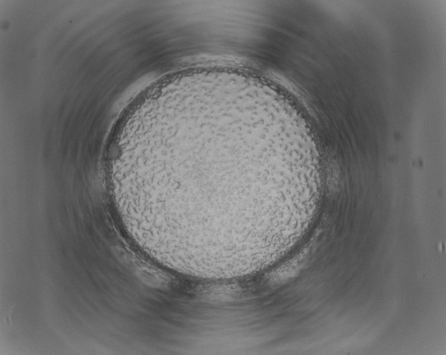 X0000072991074200608211510