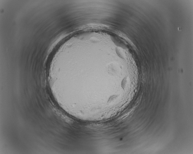 X0000072991075200608211510