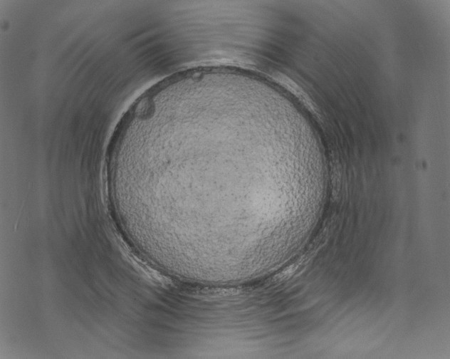 X0000072991076200608211510