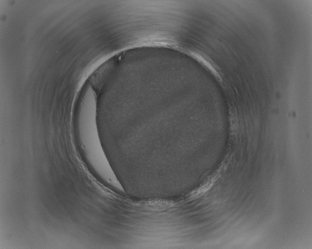 X0000072991077200608211510