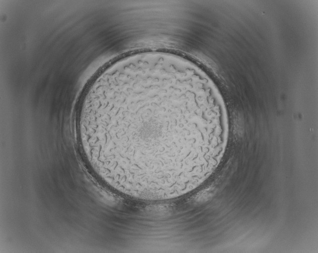 X0000072991078200608211510