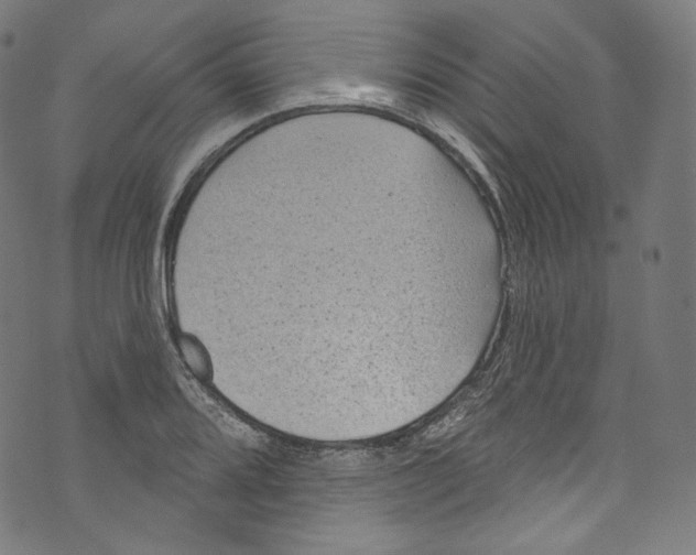 X0000072991080200608211510