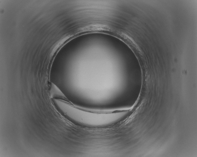 X0000072991081200608211510