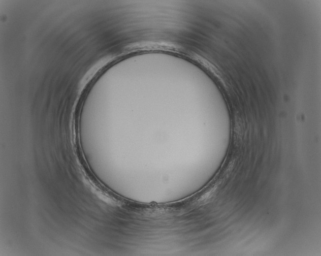 X0000072991082200608211510