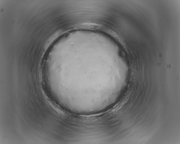 X0000072991083200608211510