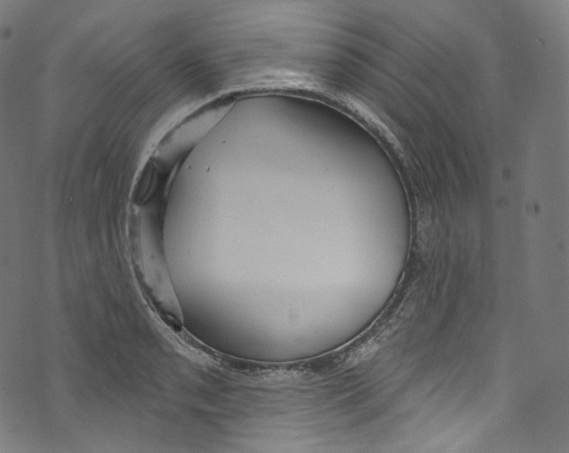 X0000072991085200608211510