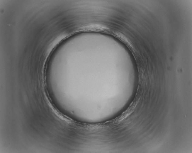 X0000072991087200608211510