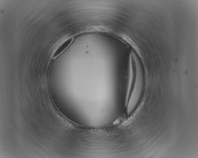 X0000072991089200608211510