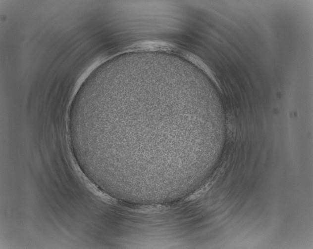 X0000072991091200608211510