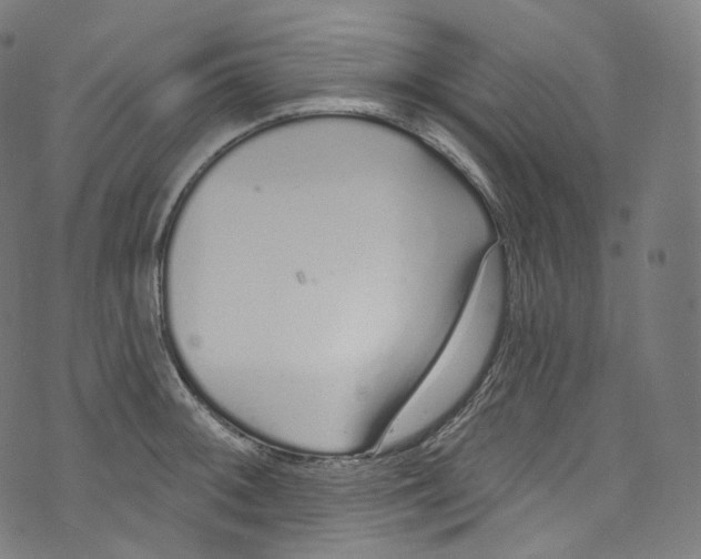 X0000072991092200608211510