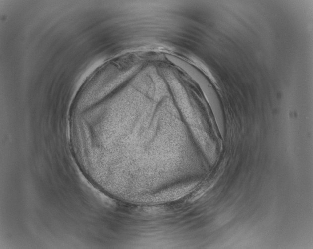 X0000072991095200608211509