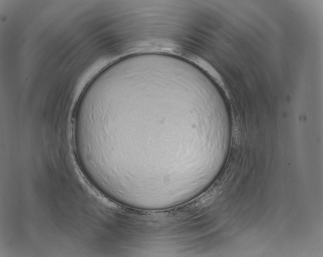 X0000072991096200608211509