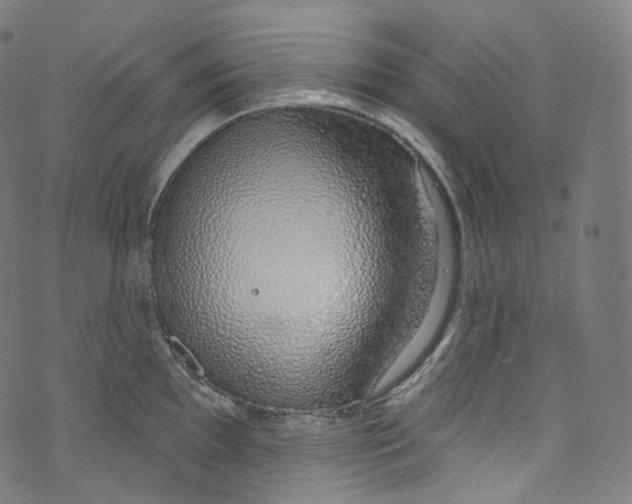 X0000072991097200608211509