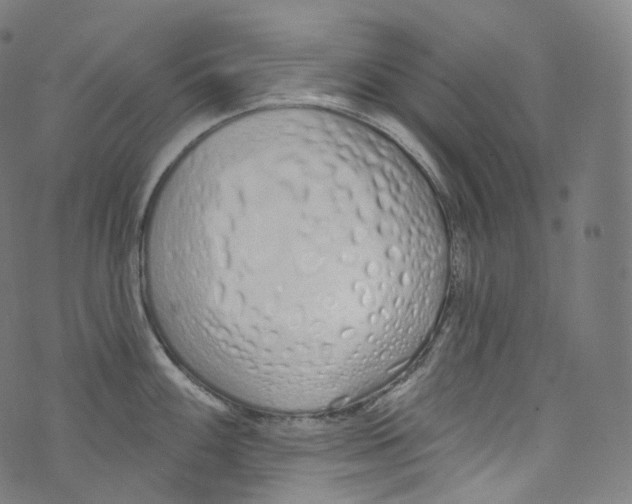 X0000072991100200608211509