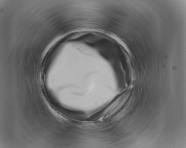 X0000072991101200608211509