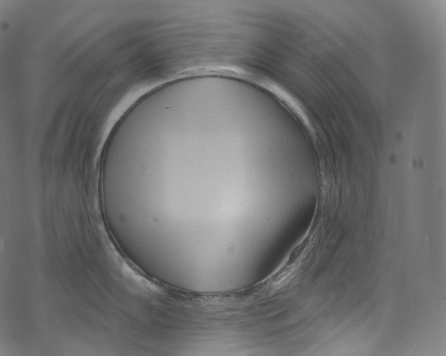 X0000072991102200608211509