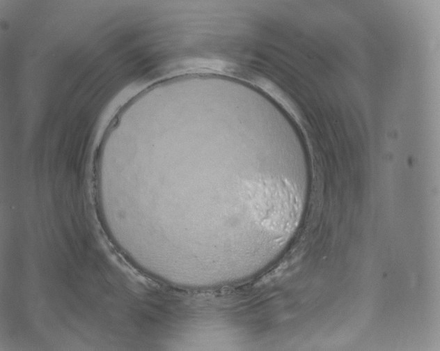 X0000072991104200608211509