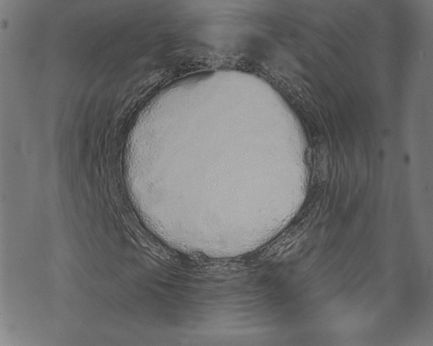 X0000072991105200608211508