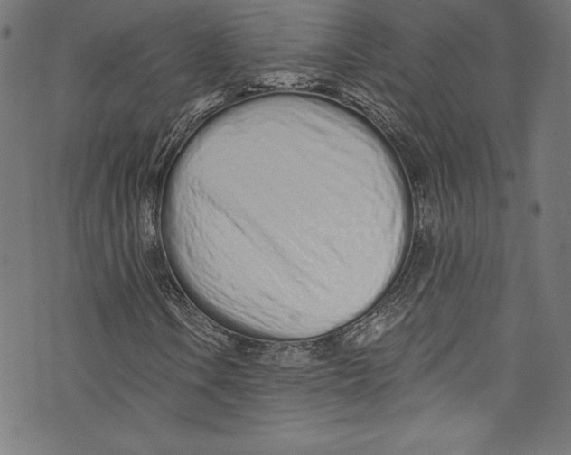 X0000072991106200608211508